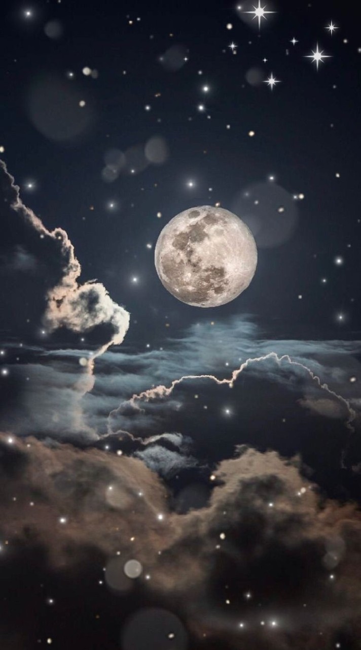 ➭ ◌ 𓊈 𝑭𝒐𝒓𝒆𝒔𝒕 𝒐𝒇 𝑴𝒐𝒐𝒏𝒍𝒊𝒈𝒉𝒕 𓊉 🌙 ˊ˗