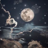 ➭ ◌ 𓊈 𝑭𝒐𝒓𝒆𝒔𝒕 𝒐𝒇 𝑴𝒐𝒐𝒏𝒍𝒊𝒈𝒉𝒕 𓊉 🌙 ˊ˗