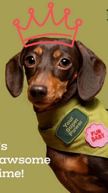 TOP Ventures-Dog Parenthood