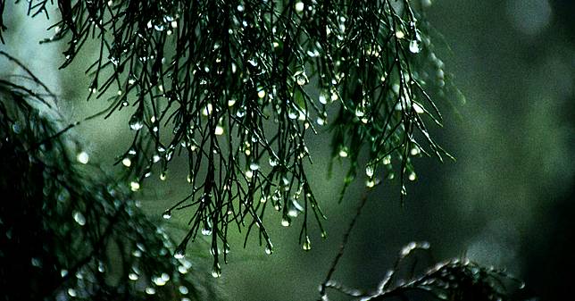 春分開運 禁忌一次看 掌握4開運秘訣招桃花 求好運 避免3禁忌大喜大悲 大熱大寒 Bella儂儂 Line Today