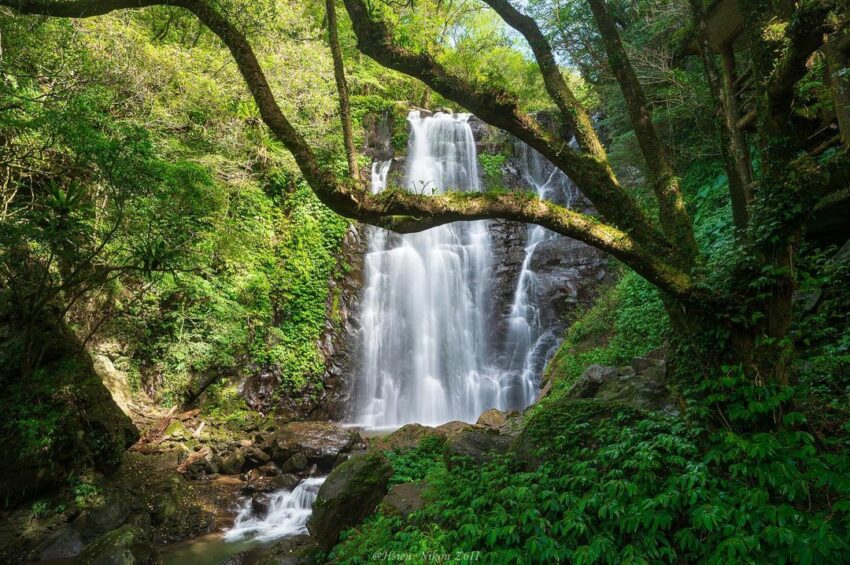 滿月圓森林遊樂區 【滿月圓森林遊樂區】新北三峽滿月圓絕美步道、瀑布，森遊區親子館帶你認識大自然，優惠門票、交通資訊 2 2023