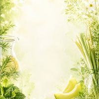 ６月開催🌿ハーブ🌿ファスティングの会