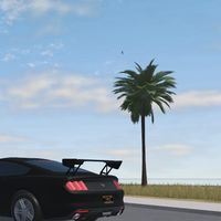 ロブロックスサンオーリーオプ