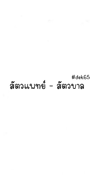 สัตวเเพทย์ - สัตวบาล #dek65 OpenChat