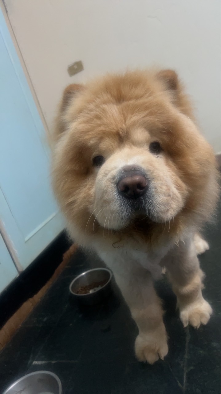 熊熊柑仔店🐻