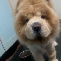 熊熊柑仔店🐻