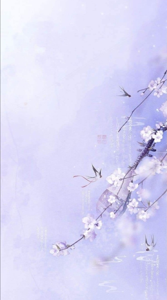 覺察圖文分享365