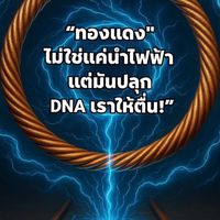 Tensor Ring For Life