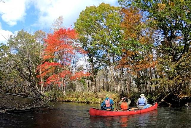 坐擁北海道道東秋色釧路川源頭划獨木舟 野旅行 Line Today