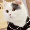 Rov-คนเหงา หาเพื่อนเล่น
