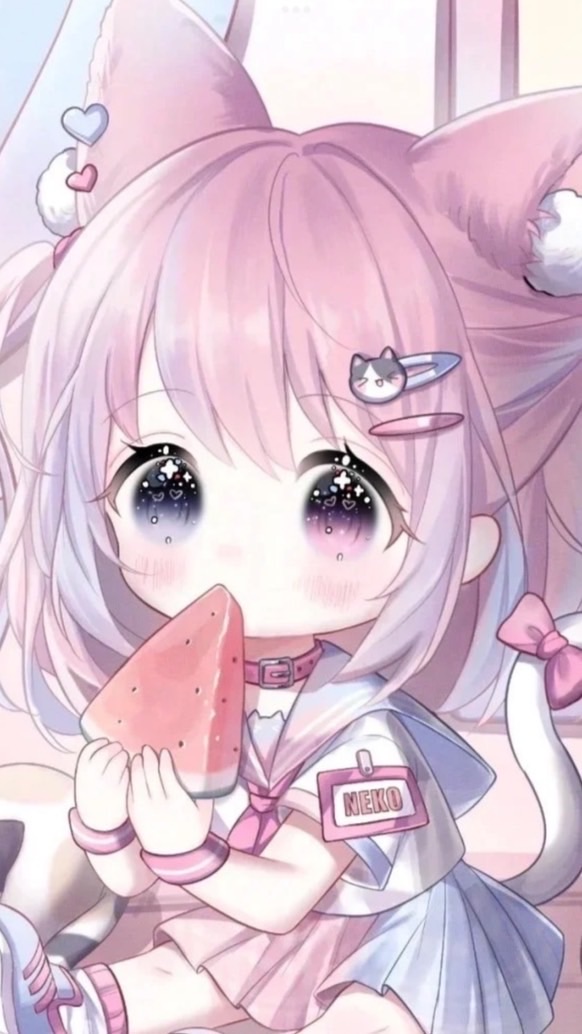 貓咪幼幼班