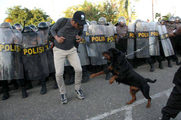 Bayi Baru Lahir Tewas Diserang Anjing Di Rs India