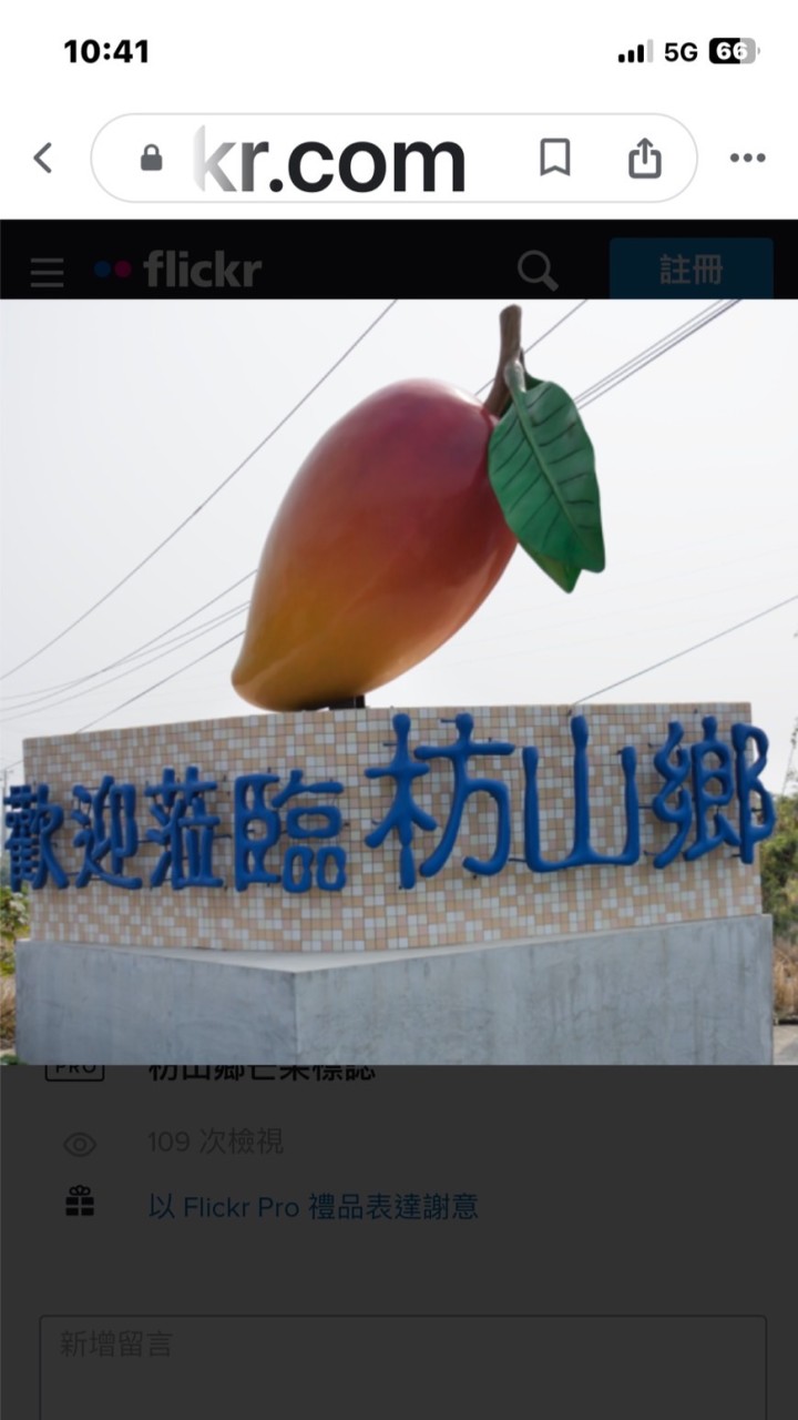 🥭芒果郎🥭夏季夯芒果