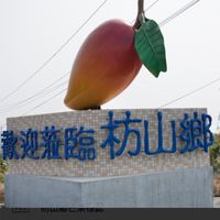 🥭芒果郎🥭夏季夯芒果