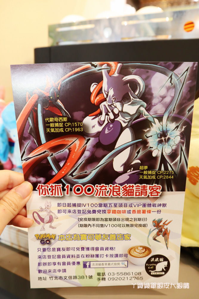 竹北平價美食餐廳推薦流浪貓香草義式廚房，竹北新開幕寶可夢主題美食餐廳！貓奴們快來找主子