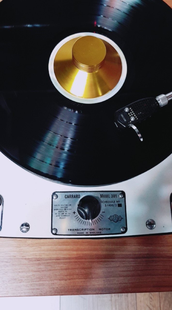 VINYL LOVER