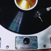 VINYL LOVER