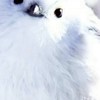 絵本、ポエム、誌を楽しむ部屋