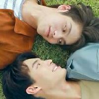 Y Office | รวมซีรี่ส์วาย