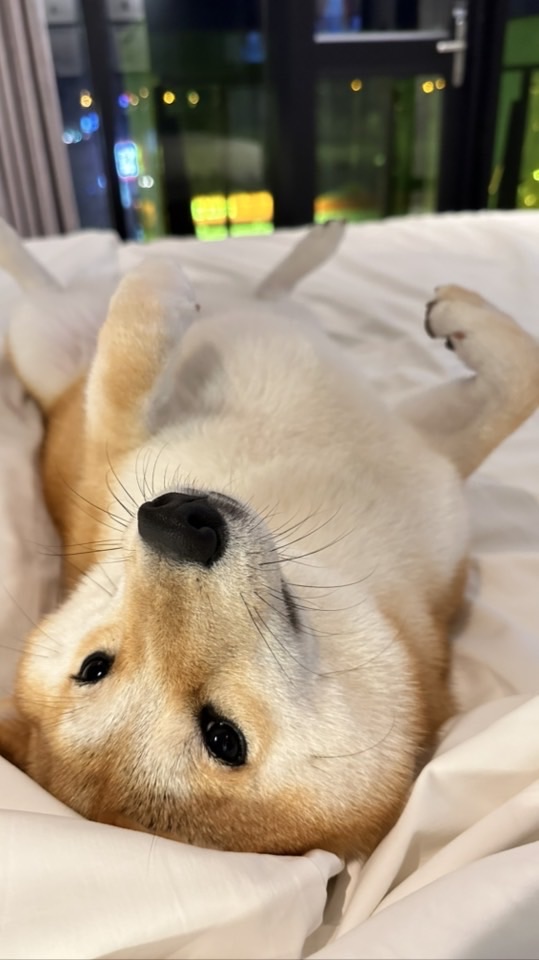 凡人交流區❤️
