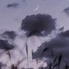 君はもしかして「一晩だけ」ってタイプかな。⌇﻿ＩＤＶハント也