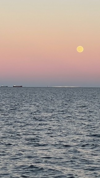 ゲーム実況者グループ作ります！