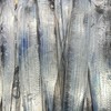 鼎赫水產