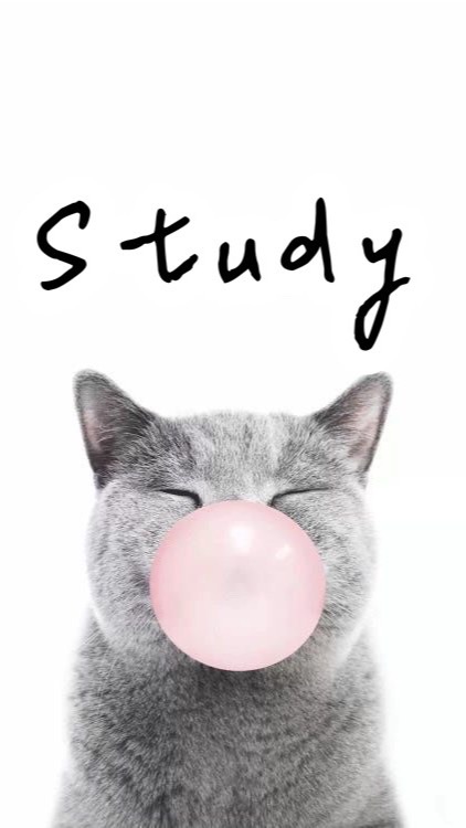 貓咪‘s study group