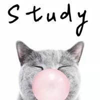 貓咪‘s study group