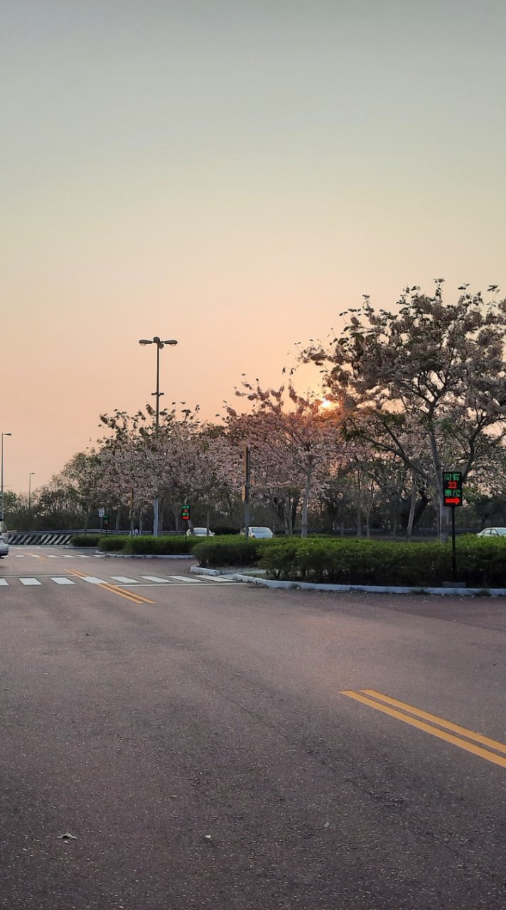 凱西報你知🤗跟團旅遊行程促銷特惠.清倉優惠