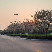 凱西報你知🤗跟團旅遊行程促銷特惠.清倉優惠