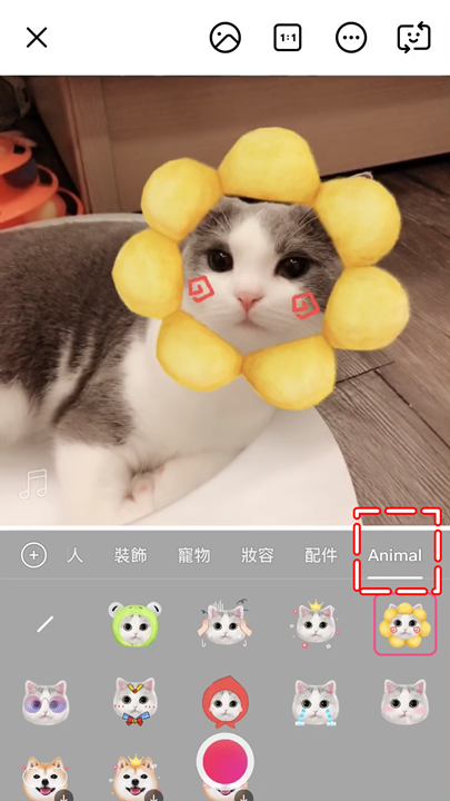 犬喵也要賣萌搞怪搏版面？美顏相機App 推出寵物專屬「萌寵AR」