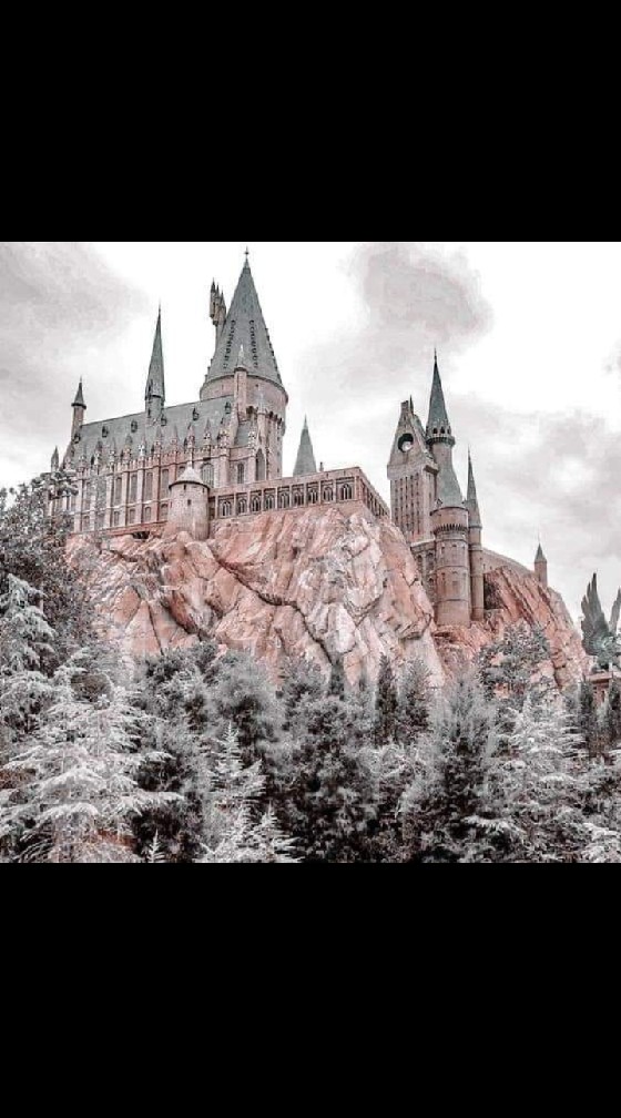 📄Hogwarts Institute🔰
