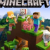 マイクラ一緒にしましょ！