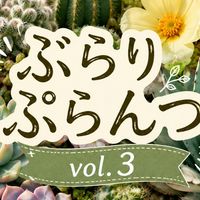 ぶらりぷらんつ vol.3 出店者連絡板