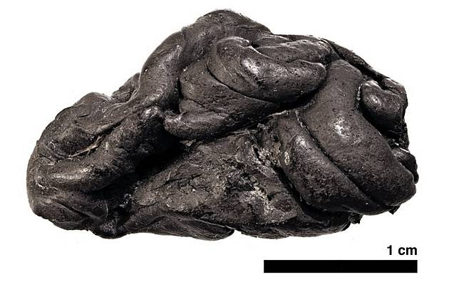 apho0007L.jpg