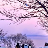 🇯🇵2/23-3/1 東京北海道代購🇯🇵