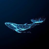 Whale Hunters