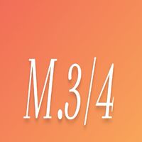 สังคมศึกษม.3/4 เม็งรายปี 65