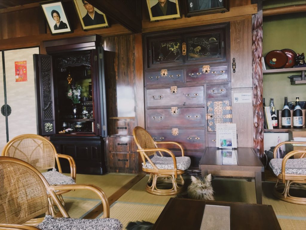 沖繩私房景點：金城町石疊道的貓咪咖啡廳「音猫 Music Cafe」