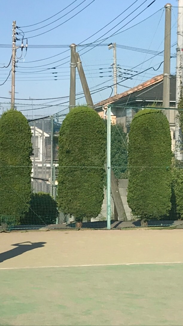 Olympus Tennis Tokyo