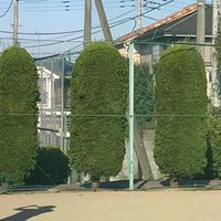 Olympus Tennis Tokyo