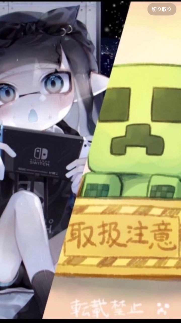 【Switch限定】〜マイクラ&スプラ〜