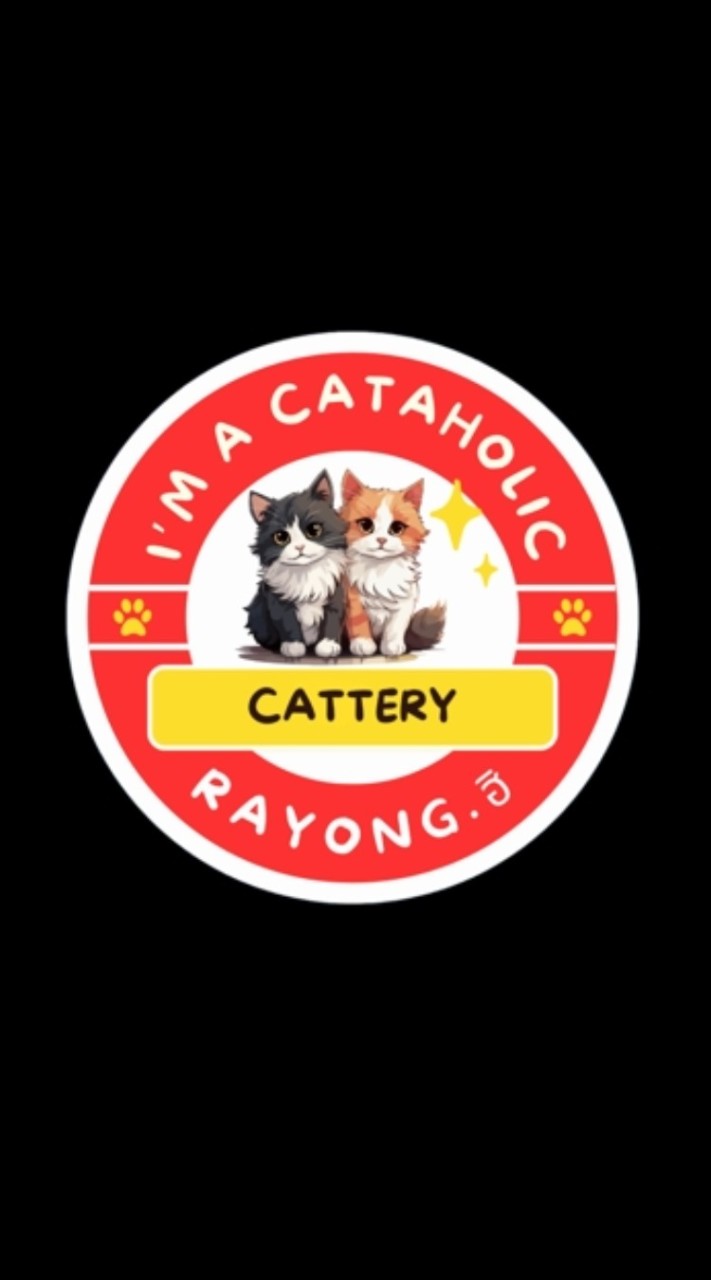 I'm a Cataholic - Rayong