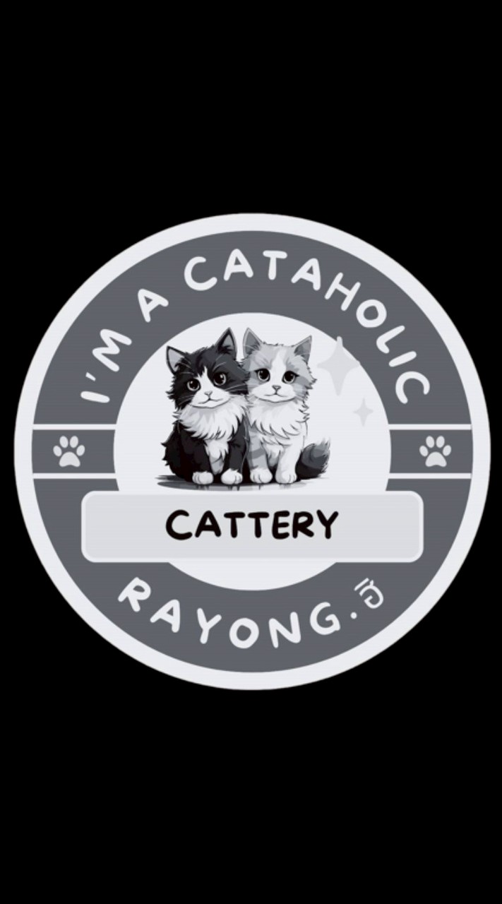 I'm a Cataholic - Rayong