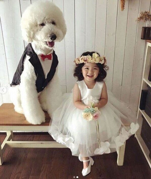 スタンプー3兄弟と子どもたちの気になる日常を聞いた