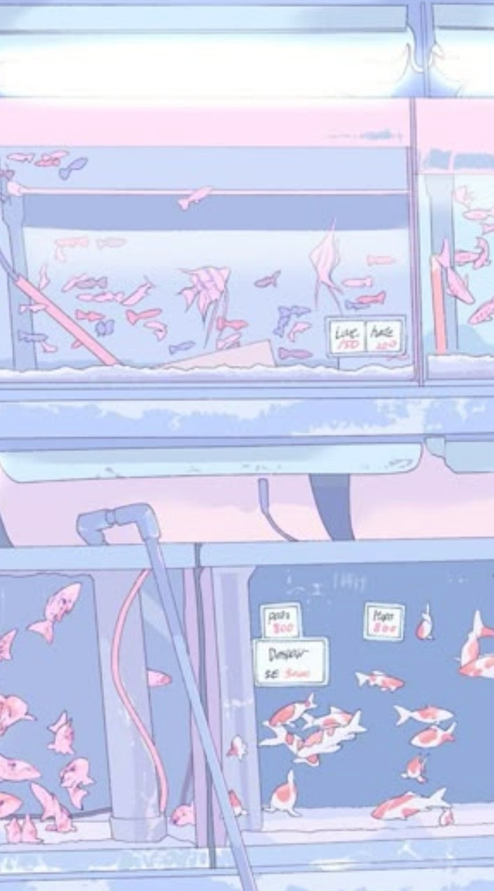 騒ぎまくれ   sxxn   超緩緩也  ‼️‼️