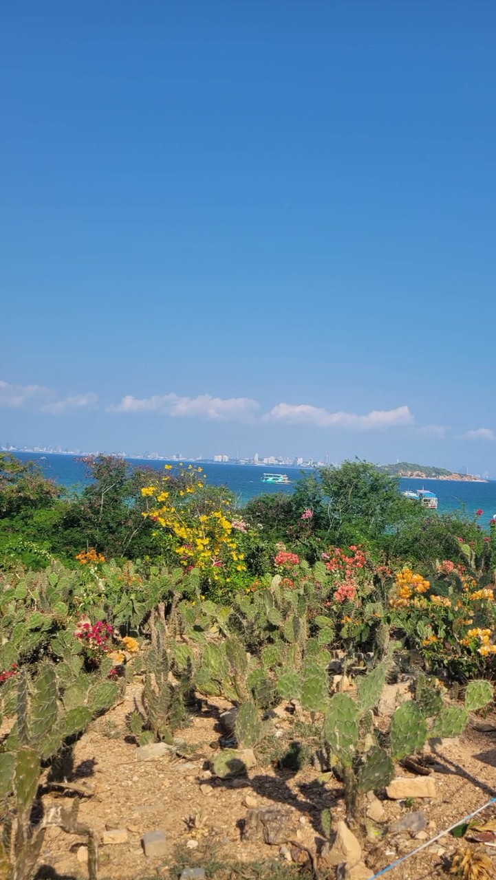 คุยเล่น/ปรึกษา/ได้เพื่อนใหม่❤️🍒