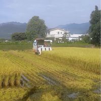 英語加油站