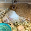 変な人の集まり【発言禁止】